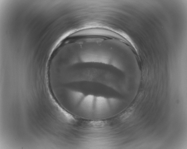 X0000066511142200603171145