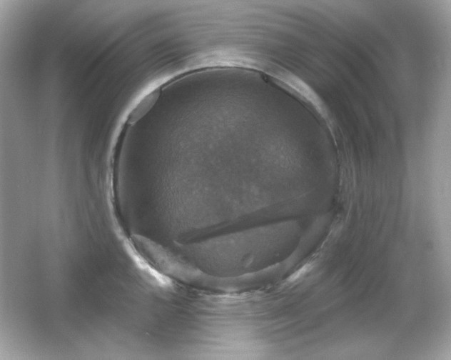 X0000066511144200603171145
