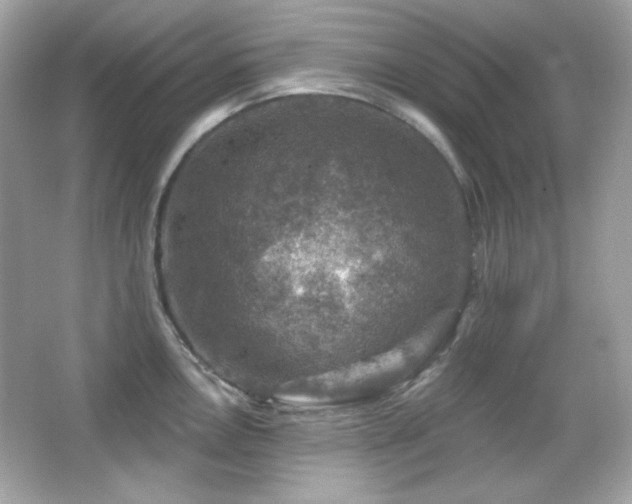 X0000066511146200603171145