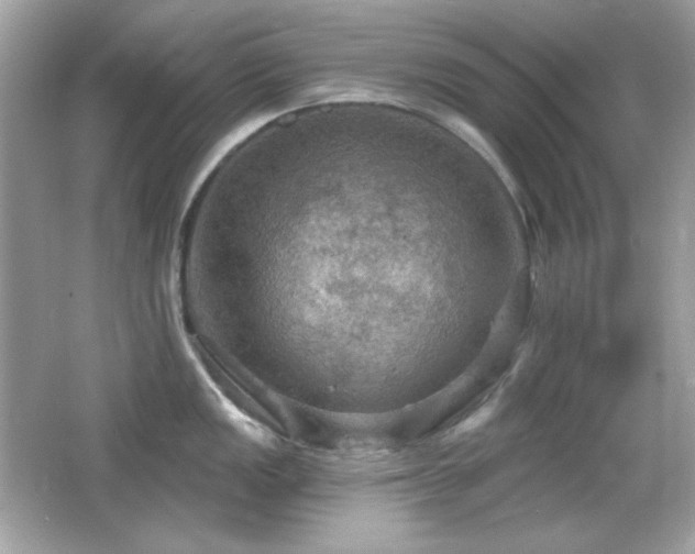 X0000066511149200603171145