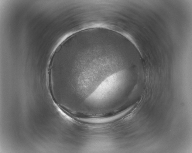 X0000066511151200603171145