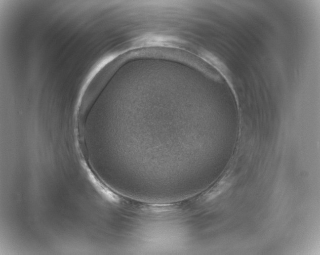 X0000066511152200603171145