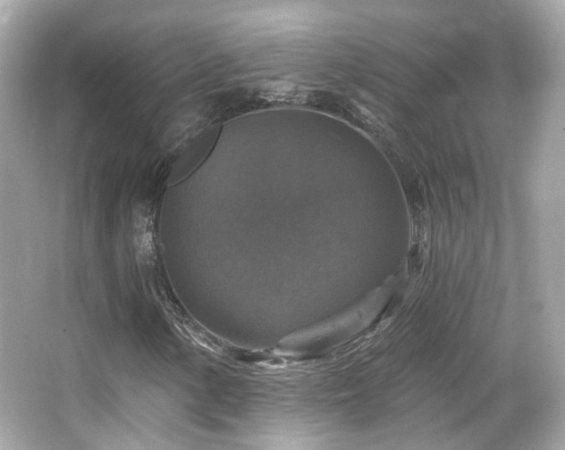 X0000066511154200603171144