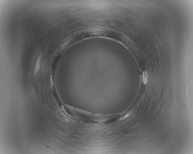 X0000066511155200603171144