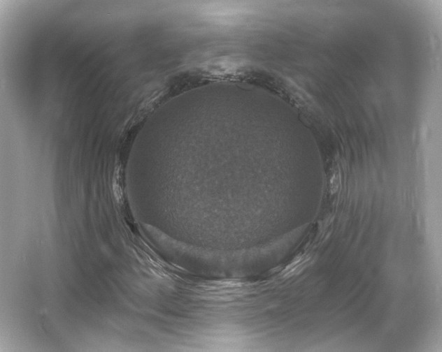 X0000066511156200603171144