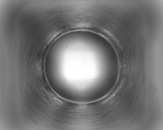 X0000066511162200603171144