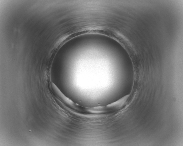 X0000066511169200603171144