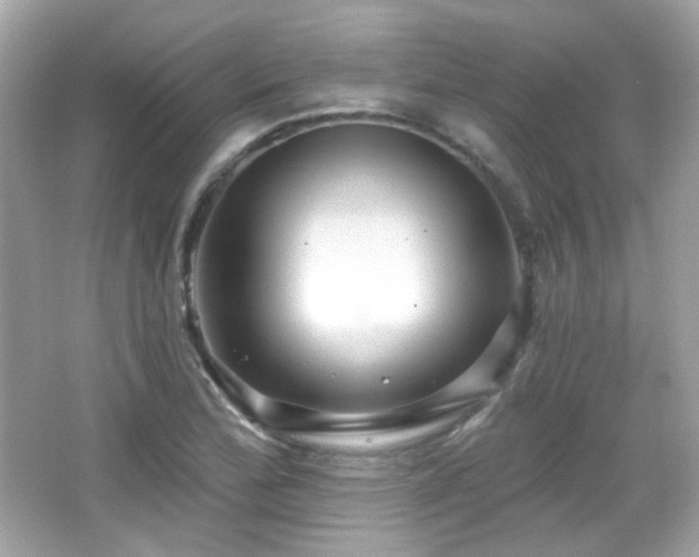 X0000066511172200603171144