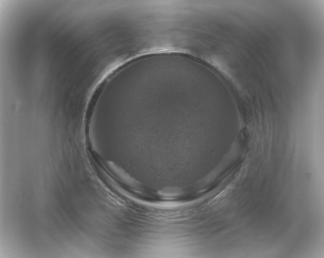 X0000066511173200603171144