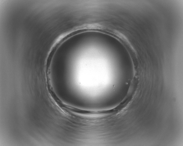 X0000066511176200603171144