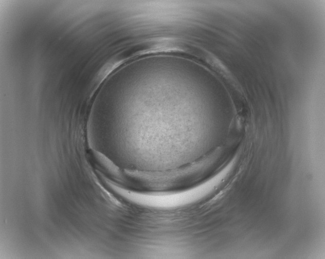 X0000066511177200603171144
