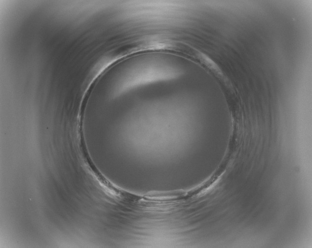 X0000066511178200603171144