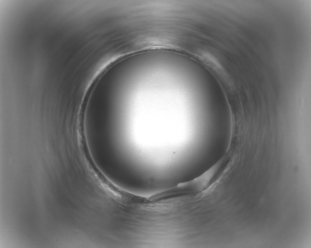 X0000066511182200603171144