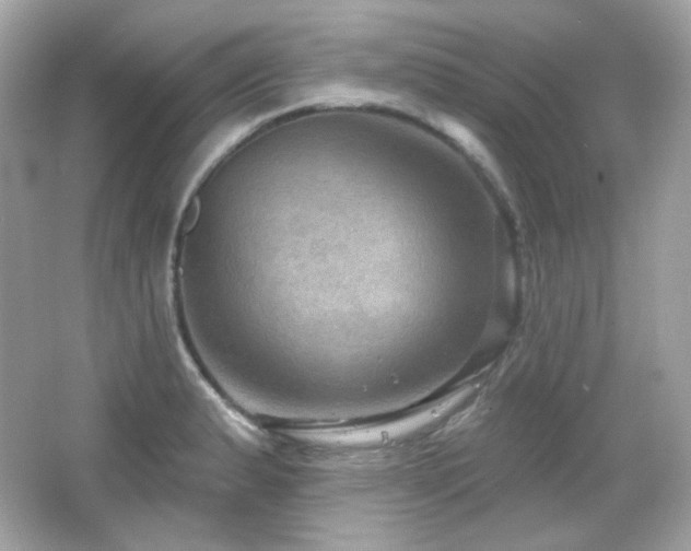 X0000066511183200603171144