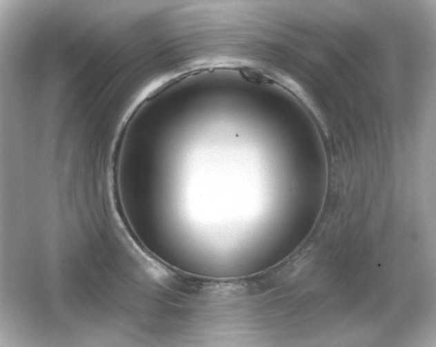 X0000066511187200603171143
