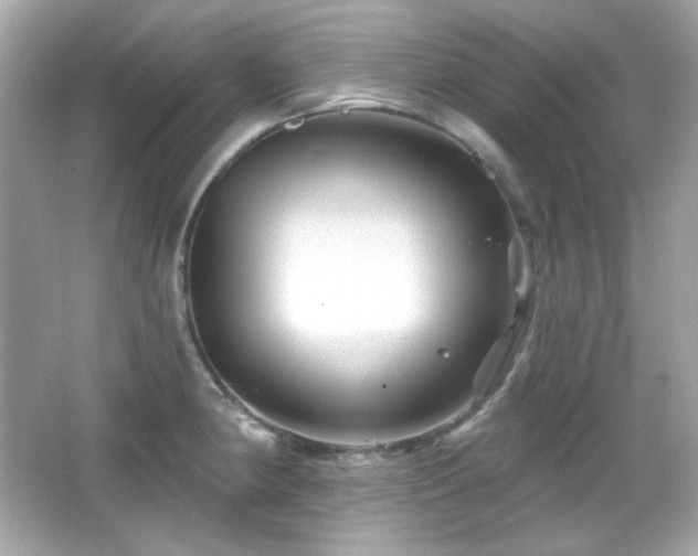 X0000066511190200603171143