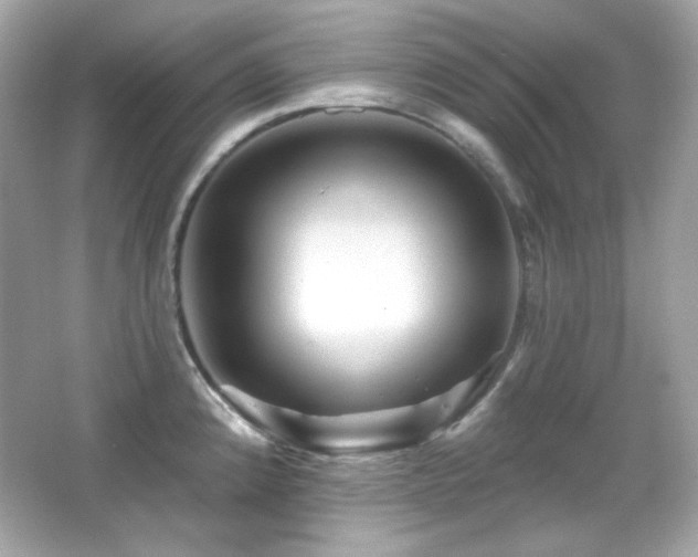 X0000066511192200603171143