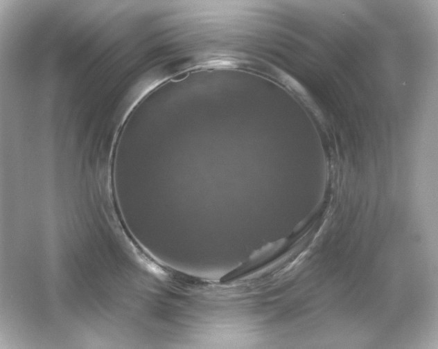 X0000066511194200603171143