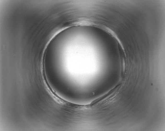 X0000066511195200603171143