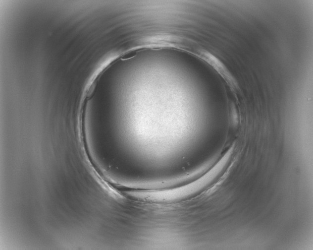 X0000066511196200603171143