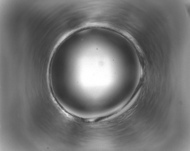 X0000066511199200603171143
