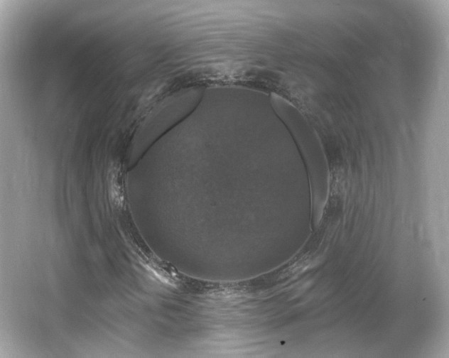 X0000066511202200603171142