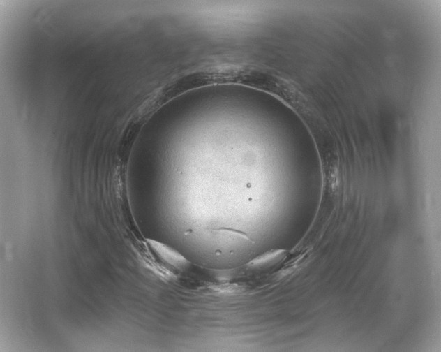 X0000066511204200603171142