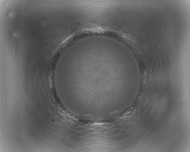 X0000066511205200603171142