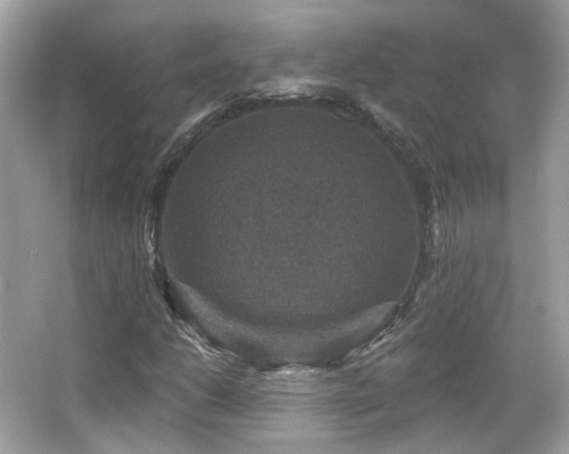 X0000066511206200603171143