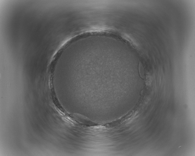 X0000066511208200603171143
