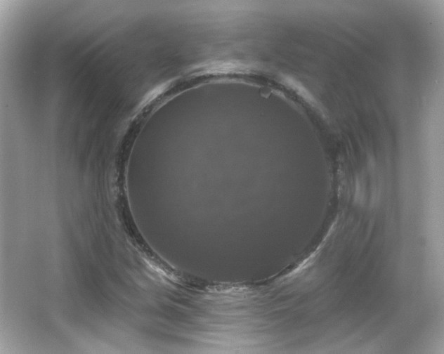X0000066511213200603171143