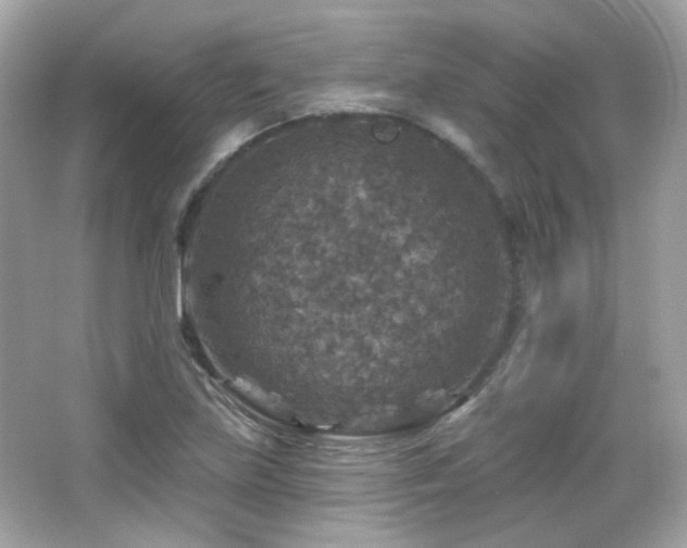 X0000066511219200603171143