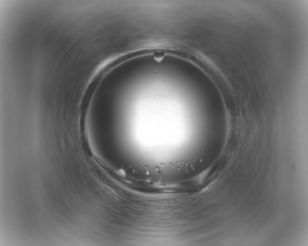 X0000066511222200603171143