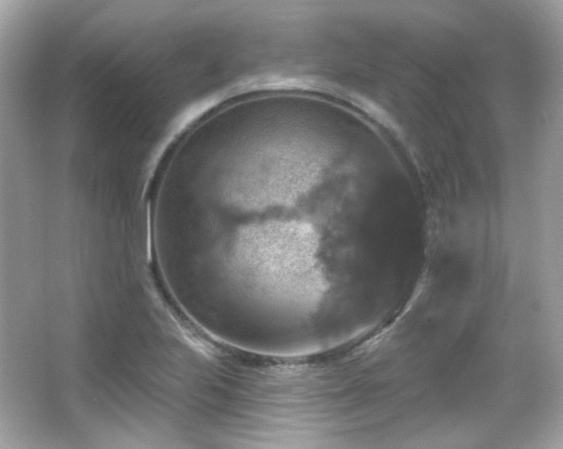 X0000066511223200603171143