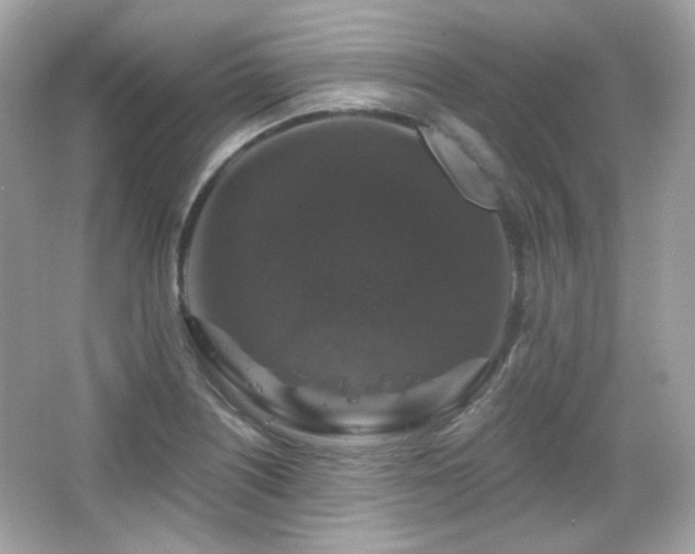 X0000066511226200603171143