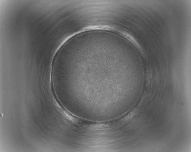 X0000066511228200603171143