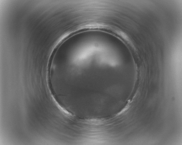 X0000066511229200603171143