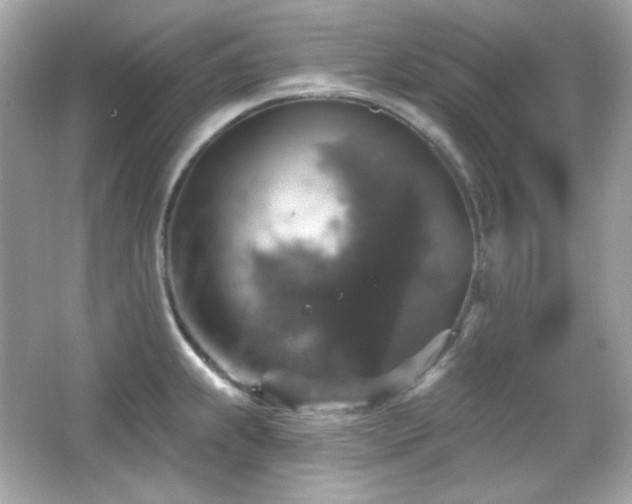 X0000066511239200603171143