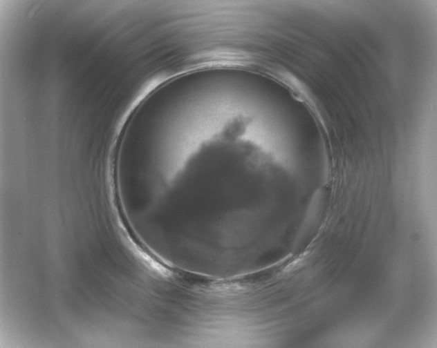 X0000066511243200603171143