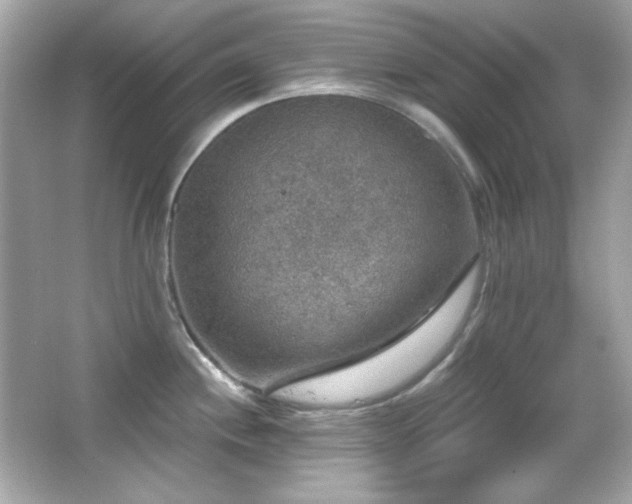 X0000066511244200603171143