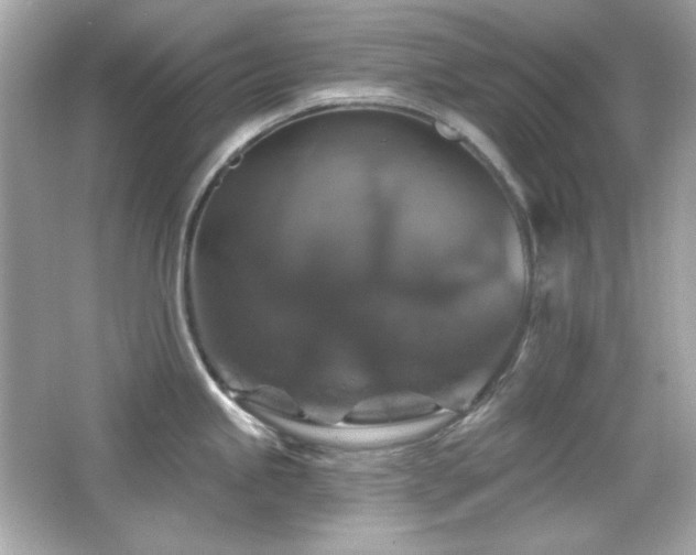 X0000066511245200603171143