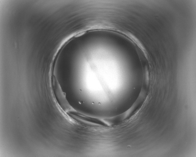 X0000066511246200603171143
