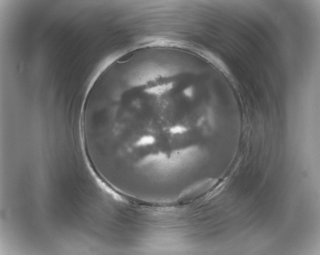 X0000066511247200603171143