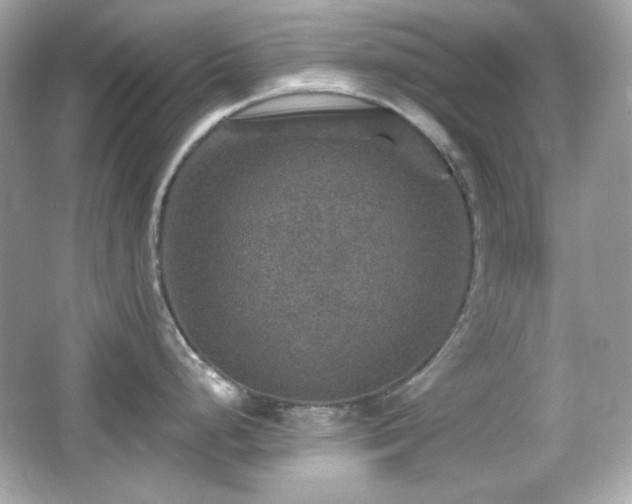 X0000066511248200603171143