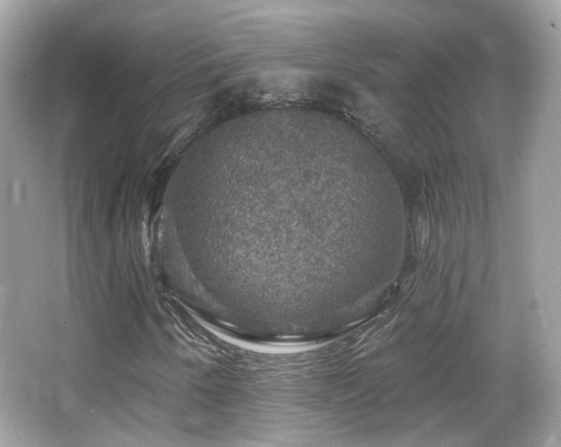 X0000066511250200603171142