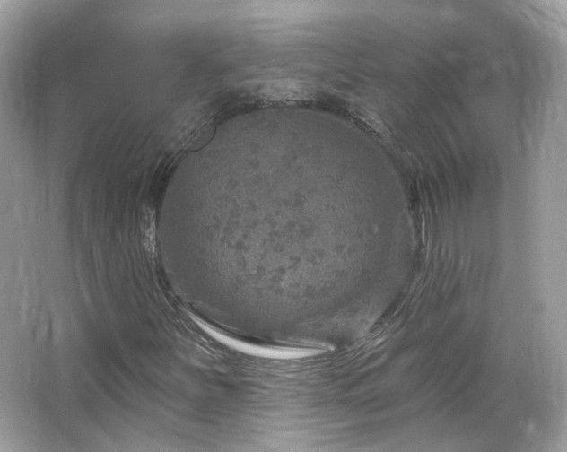 X0000066511251200603171142