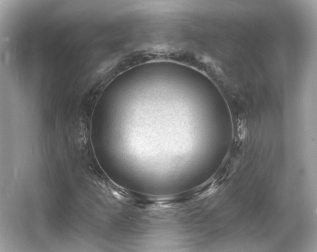 X0000066511253200603171142