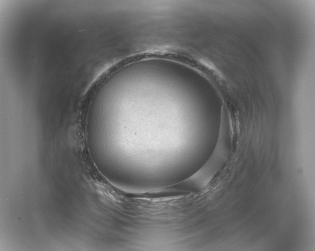 X0000066511256200603171142