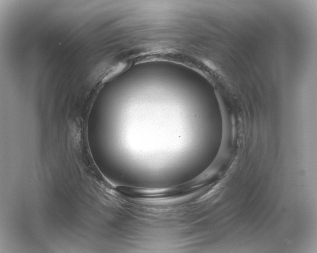 X0000066511257200603171142