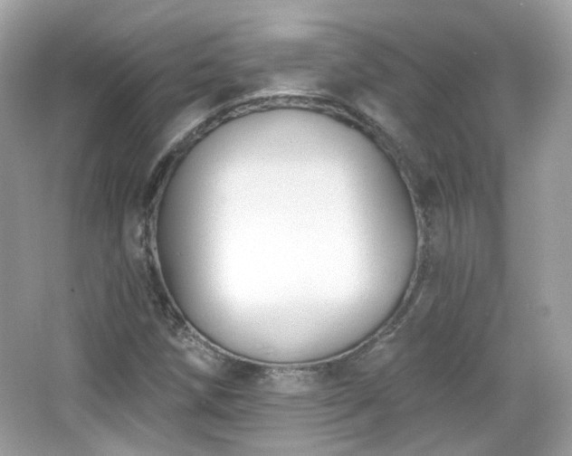 X0000066511258200603171142